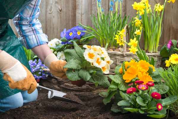 Manutenção de Jardins Urbanos: Soluções para Espaços Pequenos