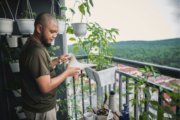 Como Cultivar Vegetais em Sacadas e Varandas Pequenas