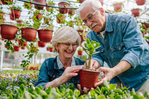 Jardins Urbanos Sustentáveis: Cultivo Ecológico em Espaços Reduzidos