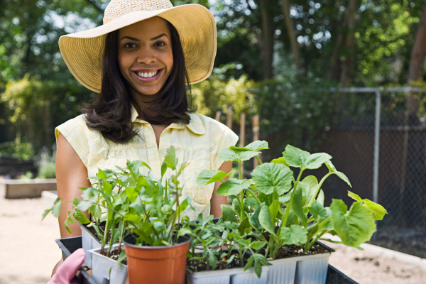 10 Dicas Essenciais para Cultivar um Jardim Urbano em Espaços Pequenos